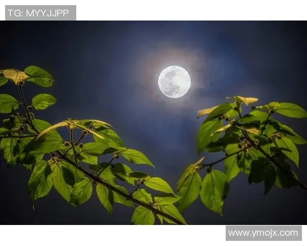 月下姚明吟唐诗意境深远情怀绵长探寻古韵之美与现代交融