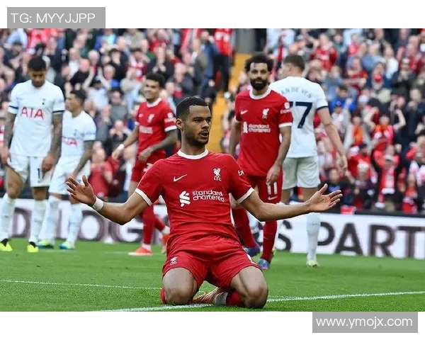 德甲激战：利物浦大胜热刺战术解析与精彩瞬间回顾